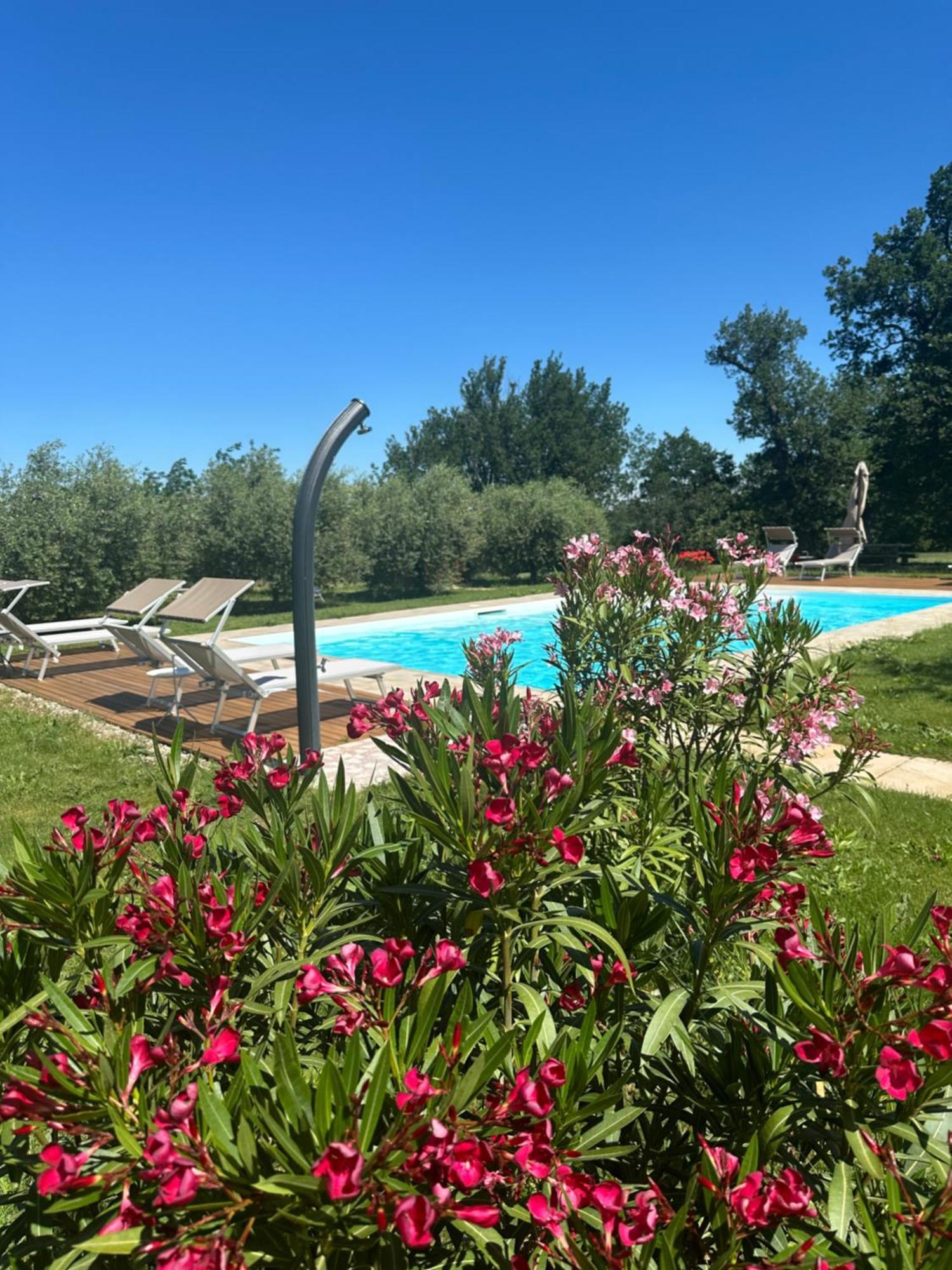 Podere Selvatici Imola Exterior foto